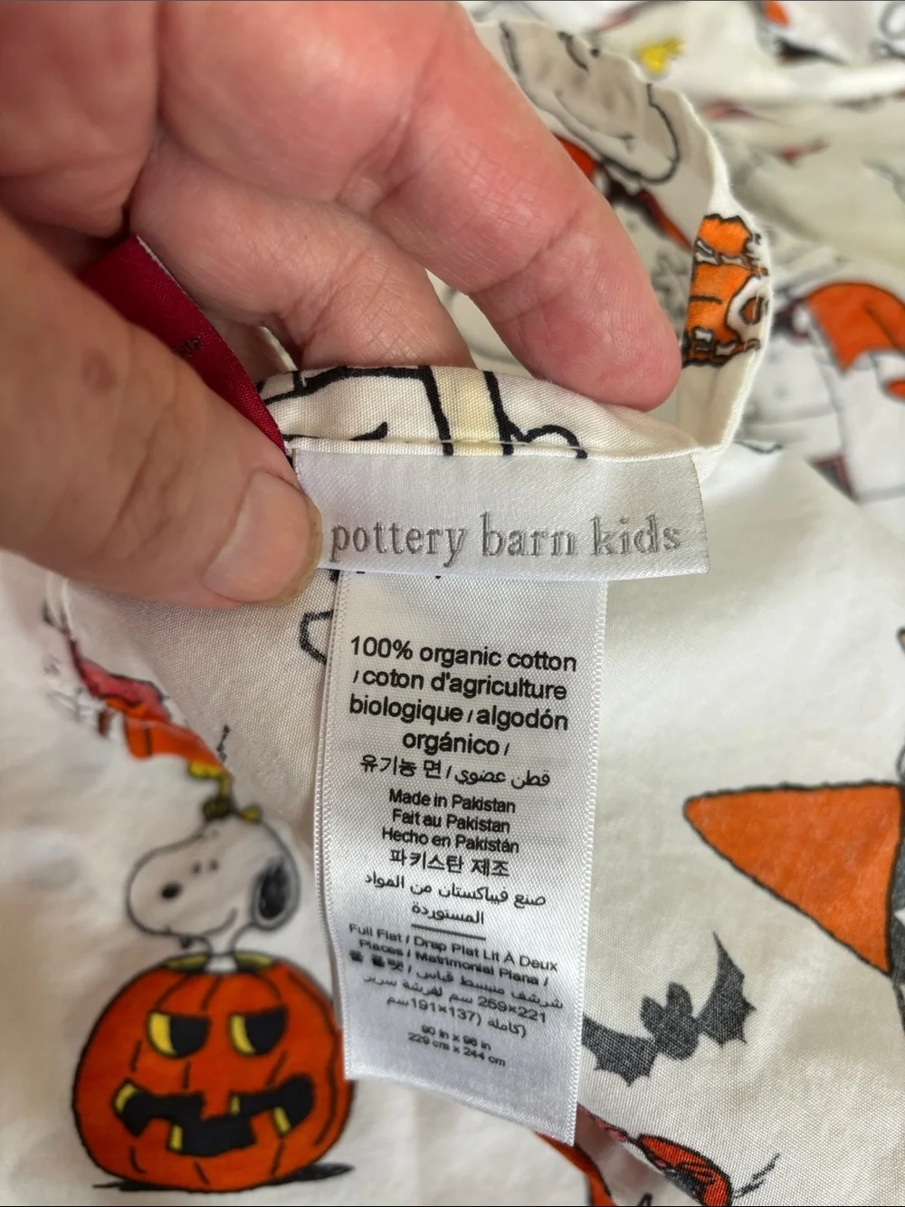 Pottery Barn Kids Peanuts Halloween Full Sheet set